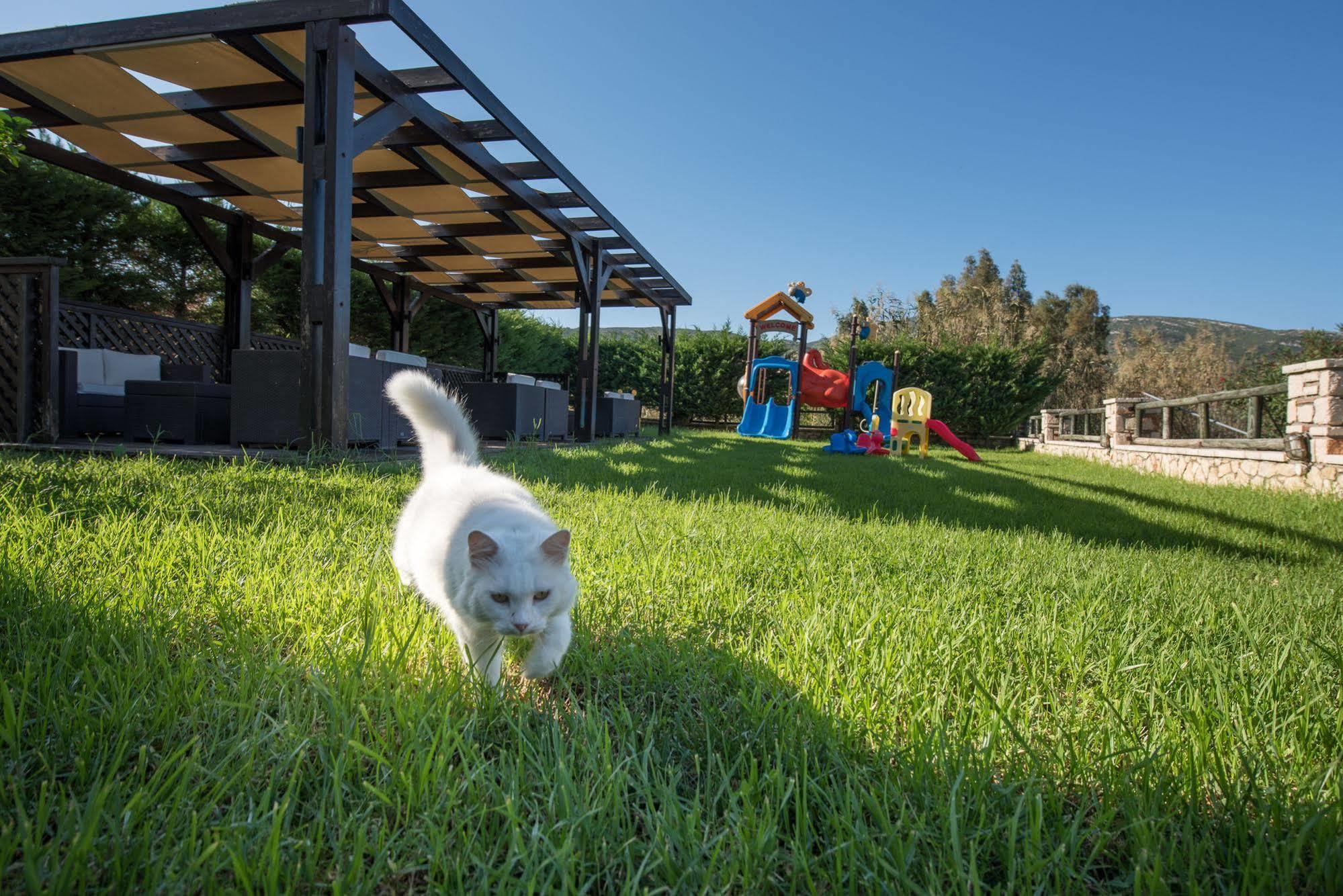 Kookis Village Keri エクステリア 写真